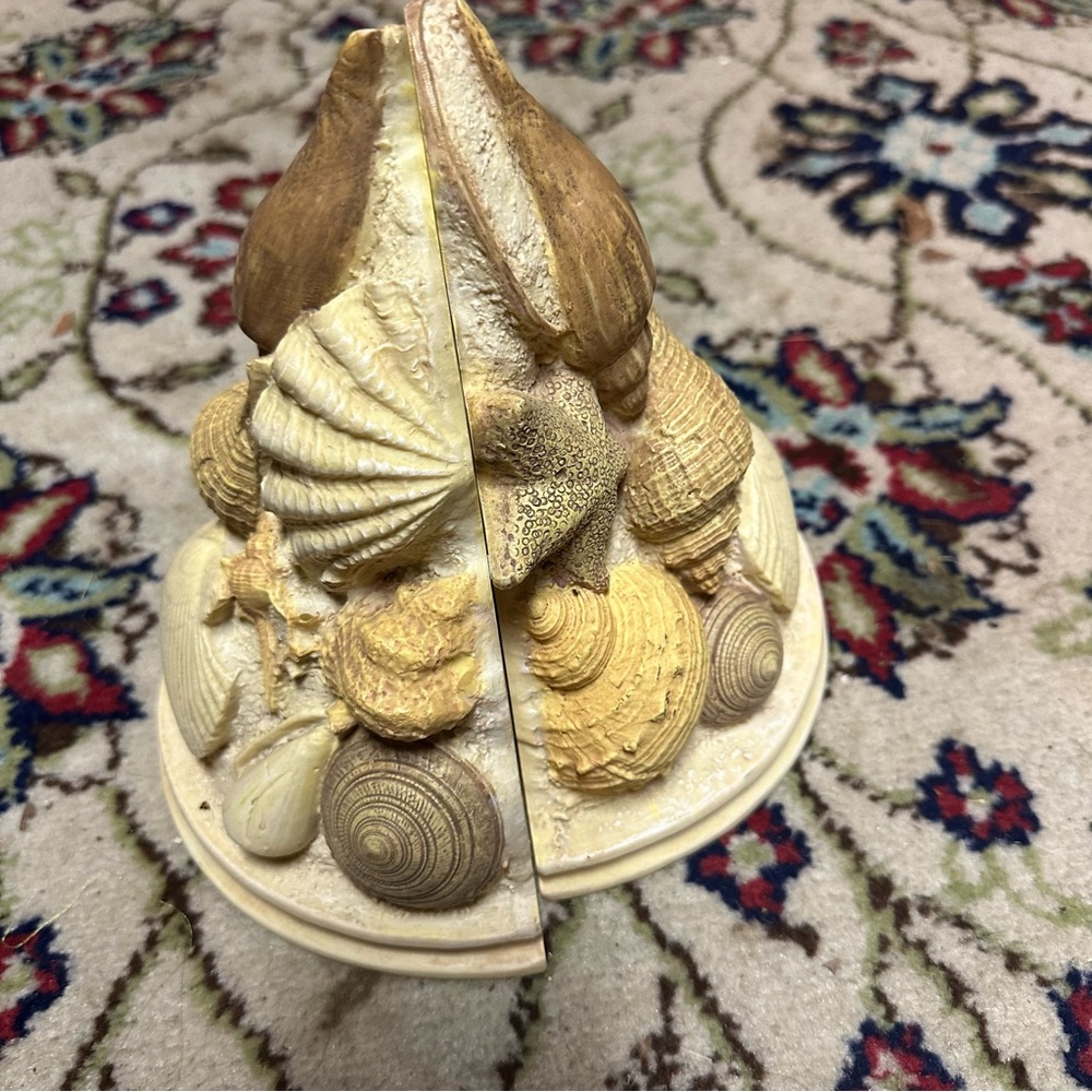 Vtg | Seashell Bookends or Shelving